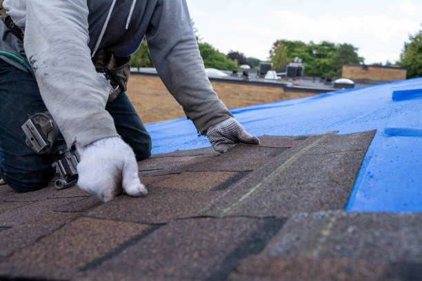 Best Flat Roof Repair Services  in Zion, PA